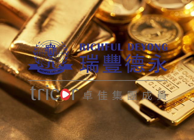 新加坡公司對審計及審計師的要求